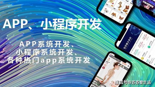 軟件定制開(kāi)發(fā)對(duì)企業(yè)有哪些好處 軟件定制開(kāi)發(fā)丨商城系統(tǒng)開(kāi)發(fā)